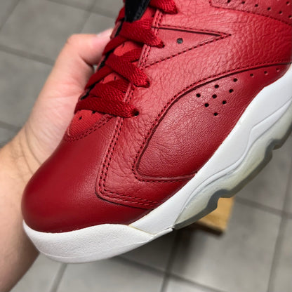 Jordan 6 History of Jordan (Worn)