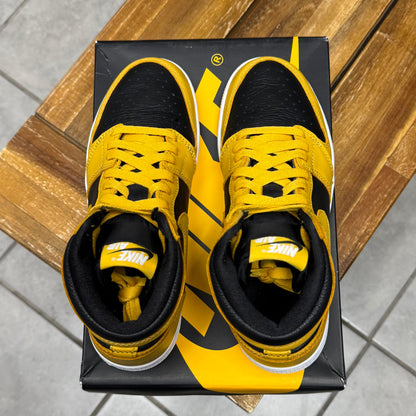 Jordan 1 High OG Pollen (Worn)