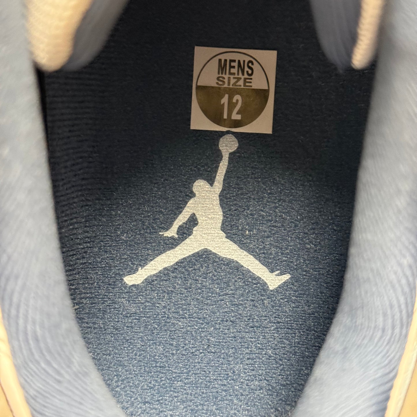 Jordan 11 Low Diffused Blue