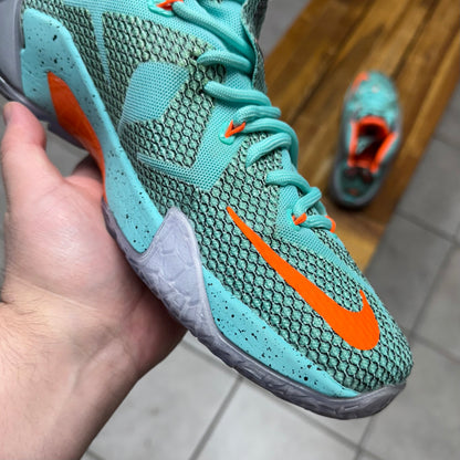 Nike LeBron 12 NSRL (Worn)