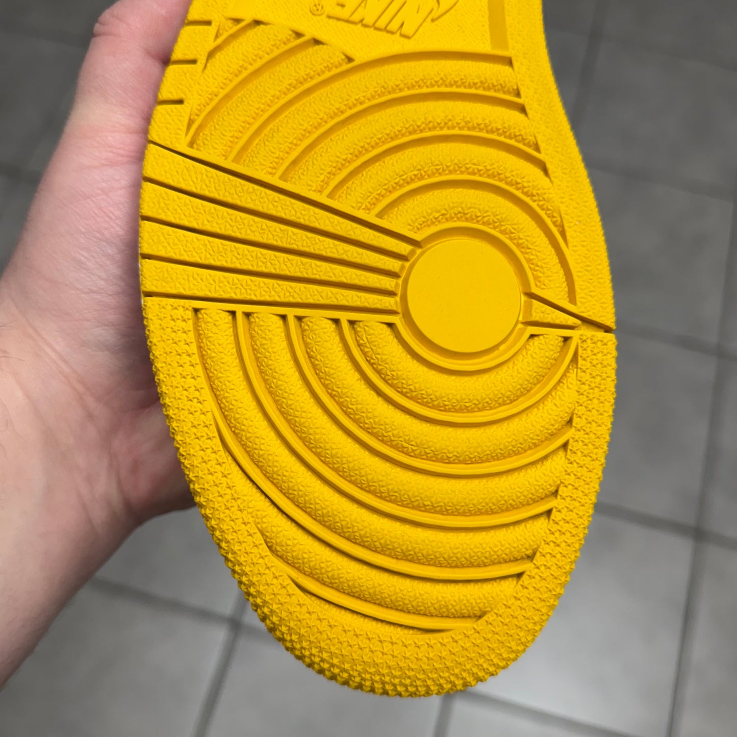 Jordan 1 High OG Pollen (Worn)