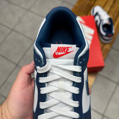 Dunk Low Valerian Blue