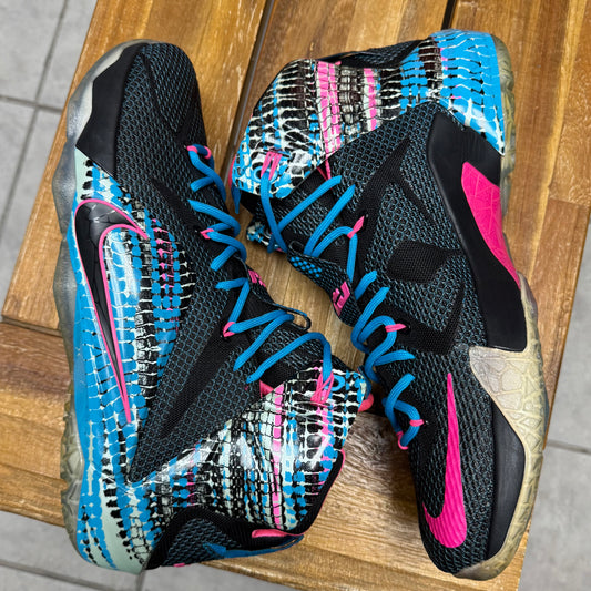 LeBron 12 ‘23 Chromosomes’ (Worn)