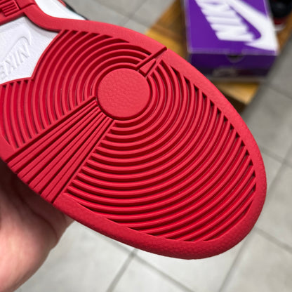 SB Dunk Low J-Pack Chicago (Worn)