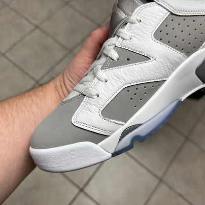Jordan 6 Cool Grey (Worn)