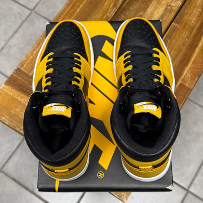 Jordan 1 High OG Pollen (Worn)