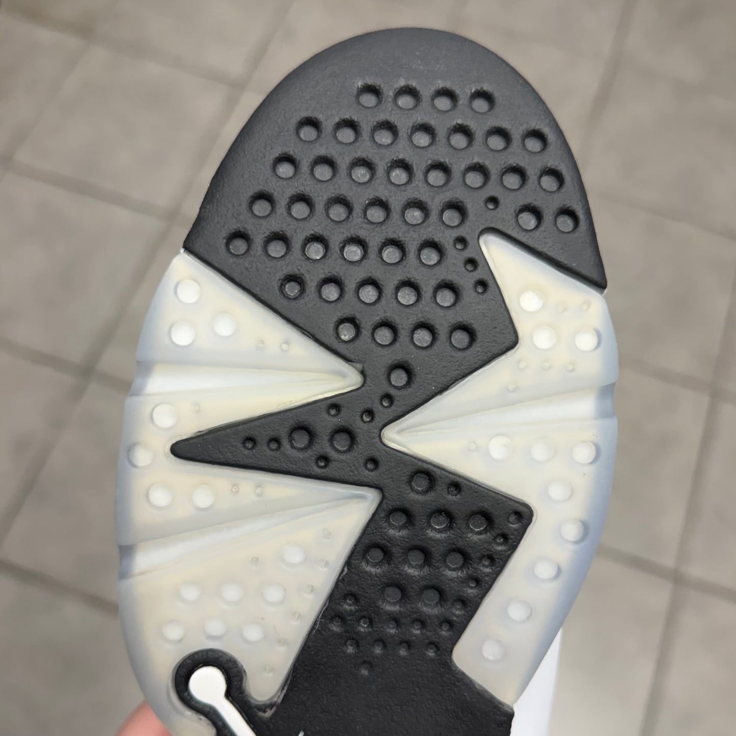 Jordan 6 Reverse Oreo (Worn)