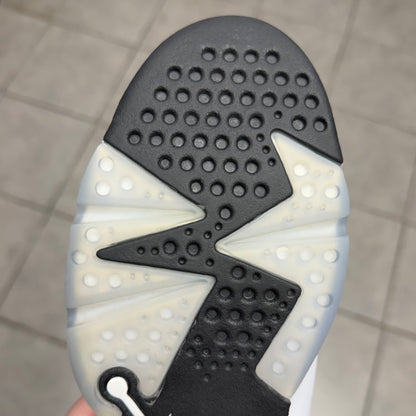 Jordan 6 Reverse Oreo (Worn)