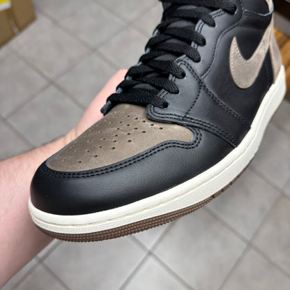 Jordan 1 High OG Palomino (Worn)