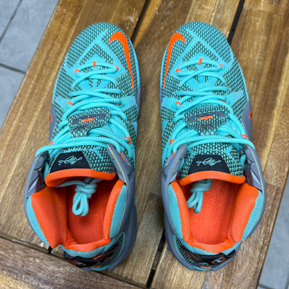 Nike LeBron 12 NSRL (Worn)