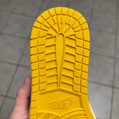 Jordan 1 High OG Pollen (Worn)